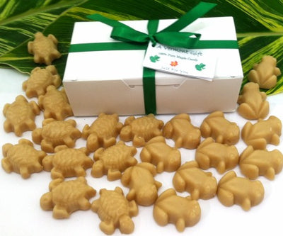 Vermont Maple Candy - Frogs & Turtles Gift Box - 24-piece, 7.2 oz.
