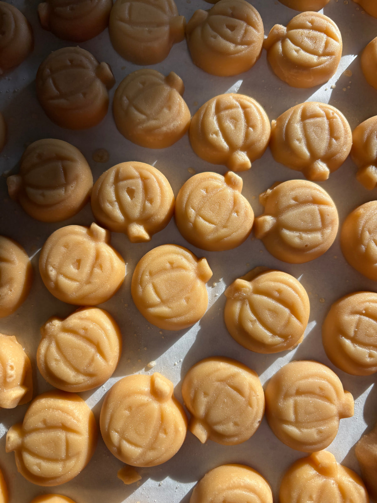 Pure VT Maple Sugar Candy - Pumpkin Shaped - 24 Piece